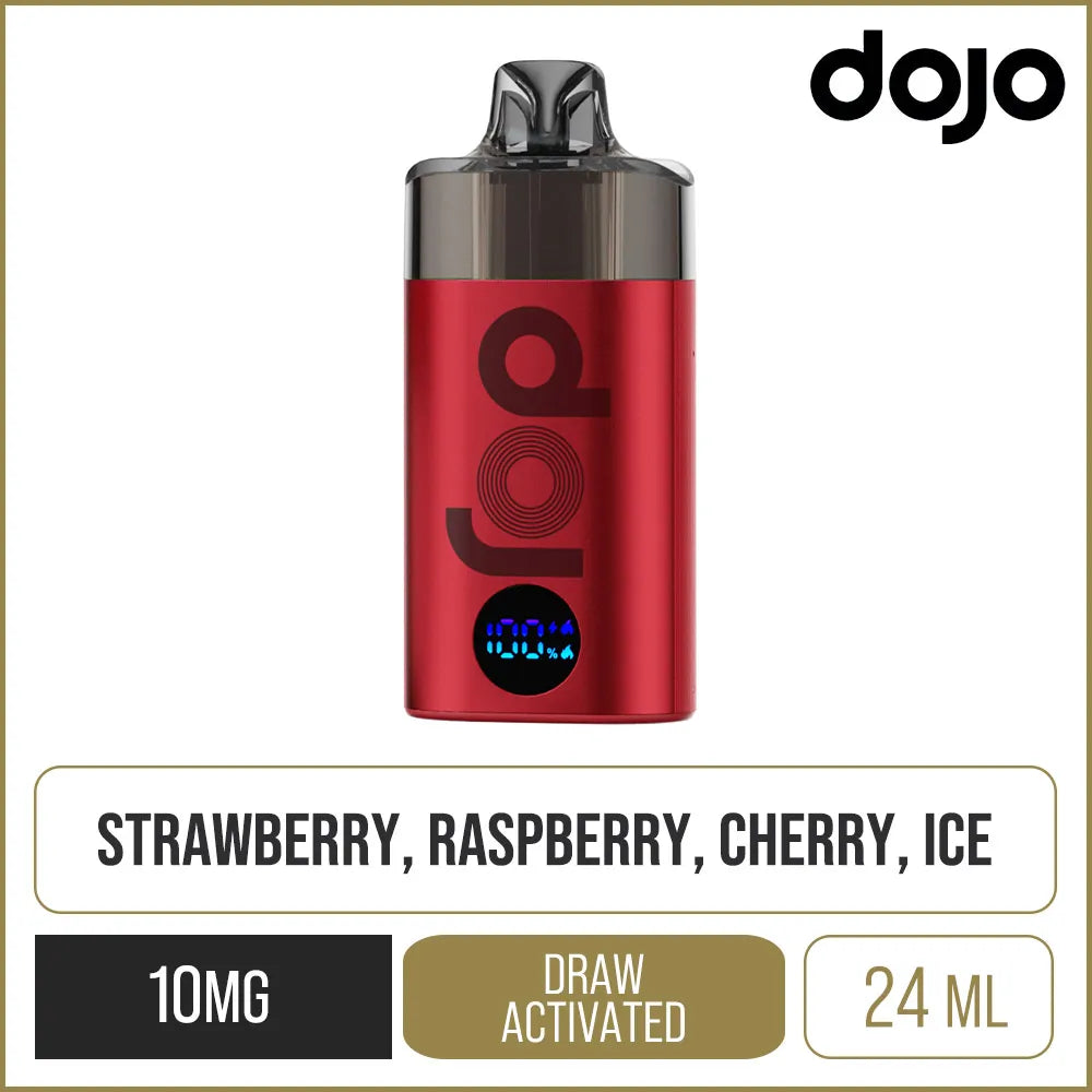 DOJO Blast 6000 12K Straw-Raspberry Cherry Ice Kit 24ml